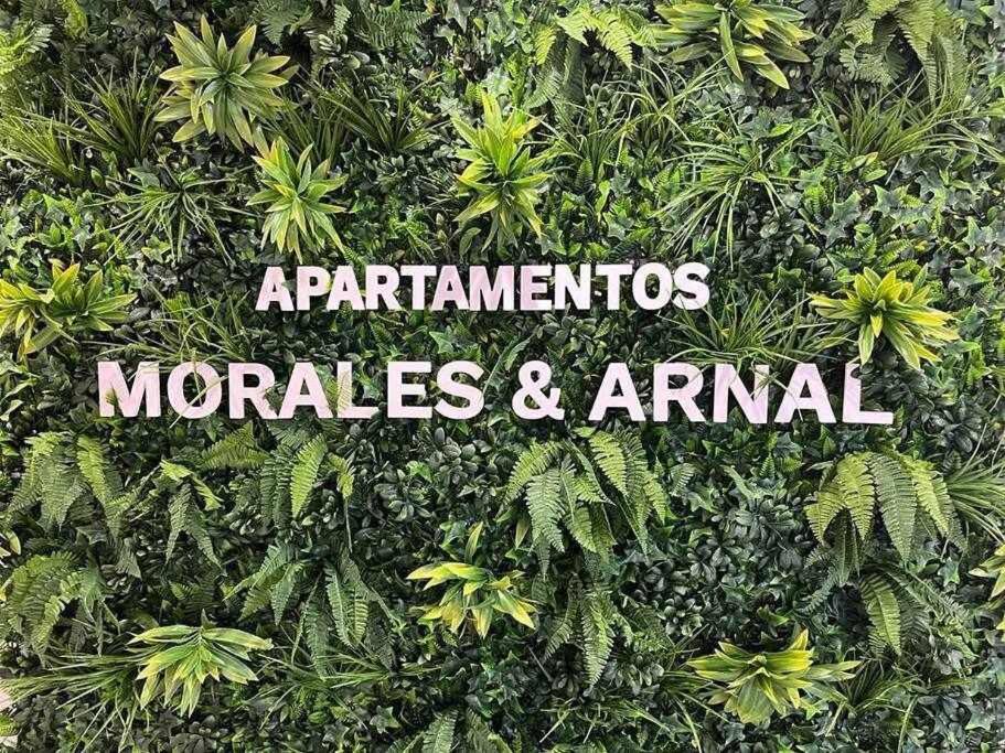 XXI E Apartamentos Morales & Arnal Ronda Ngoại thất bức ảnh